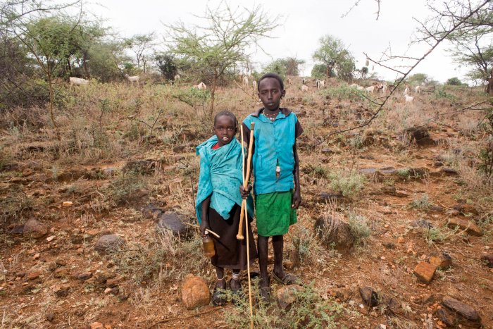 Lchekutis, los niños pastores masai